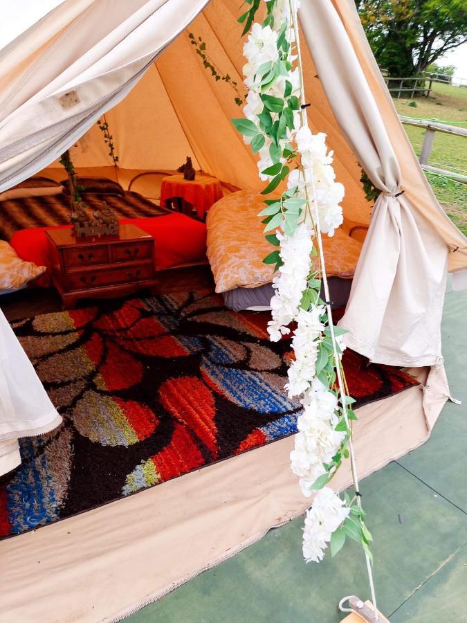 Hotel Walnut Tree Glamping Sturry Zewnętrze zdjęcie