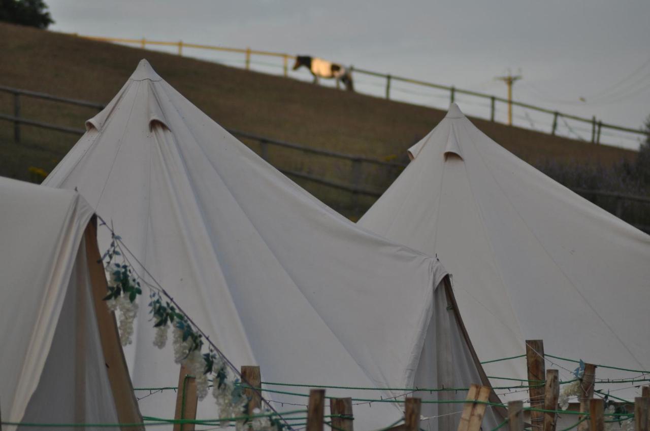 Hotel Walnut Tree Glamping Sturry Zewnętrze zdjęcie